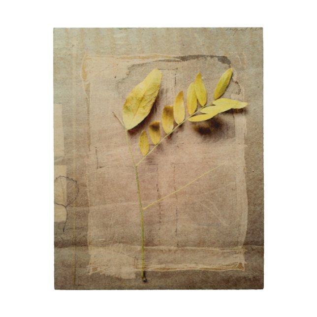 Herbarium V Wood Wall Art (Front)