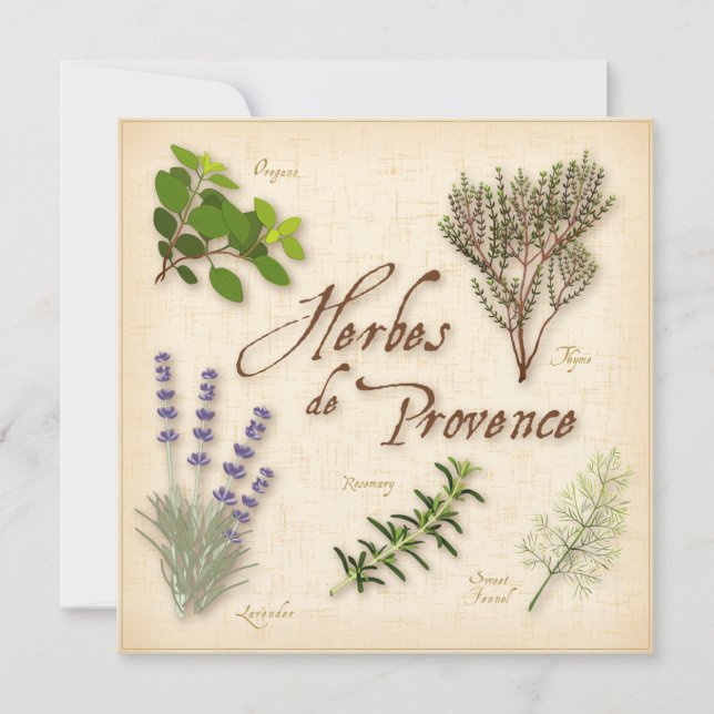 Herbes de Provence Flat Card (Front)