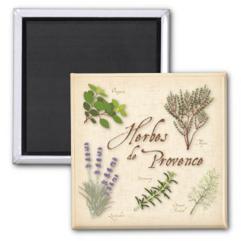 Herbes De Provence Magnet by pomegranate_gallery at Zazzle