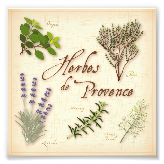 Herbes de Provence Photo Print (Front)