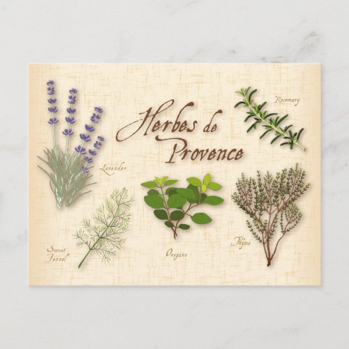 Herbes de Provence Postcard