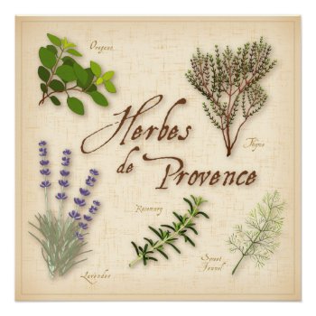 Herbes De Provence Poster by pomegranate_gallery at Zazzle