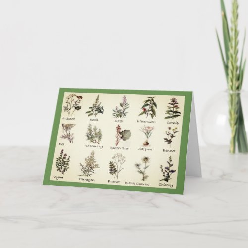 Herbs and Spices Greeting Cards