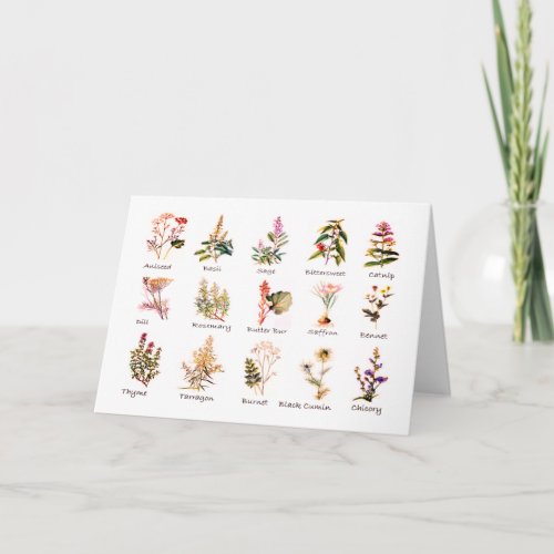 Herbs and Spices Greeting Cards