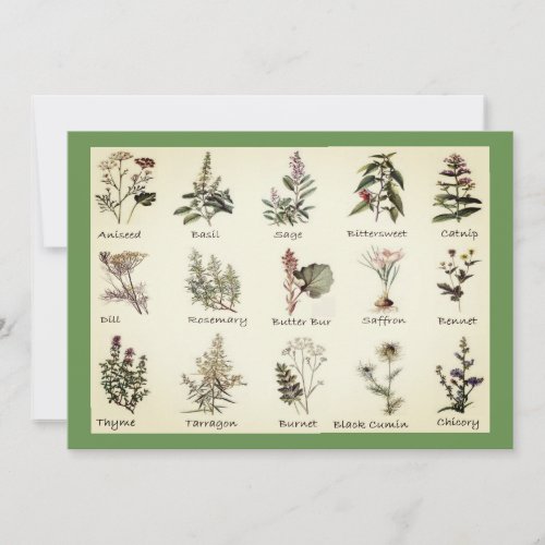 Herbs and Spices Invitations