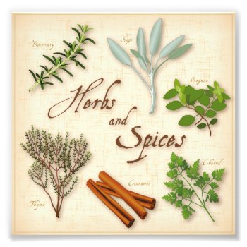 Herbs And Spices Photo Print by pomegranate_gallery at Zazzle