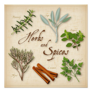 Herbs and Spices, Rosemary, Sage, Thyme, Cinnamon Poster