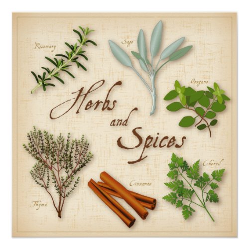 Herbs and Spices Rosemary Sage Thyme Cinnamon Poster