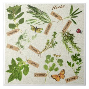 herbs ceramic tile