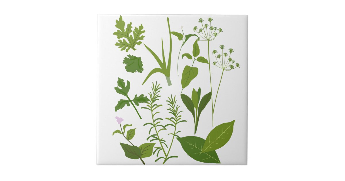 Herbs Collection Kitchen Tile R70b8bf09a77f4fea9eb628ebbaa8d146 Agtk1 8byvr 630 ?view Padding=[285%2C0%2C285%2C0]