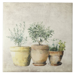 Herbs in Pots Mediterrean Rustic Ceramic Tile