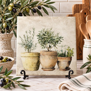 Herbs in Pots Mediterrean Rustic Ceramic Tile