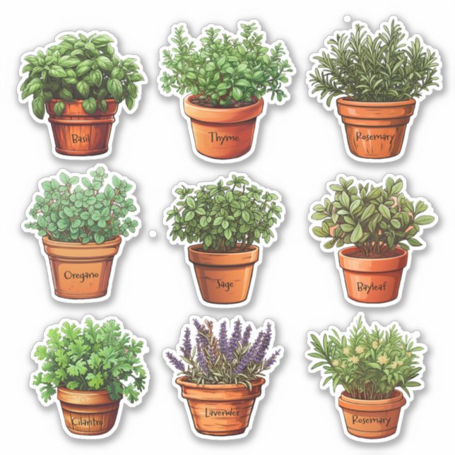Herbs in Terracotta Pots Stickers (Front)