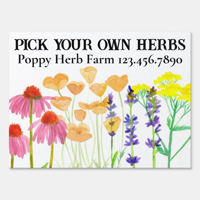 Herbs Pick Your Own Coneflower California Poppy  Sign (Front)
