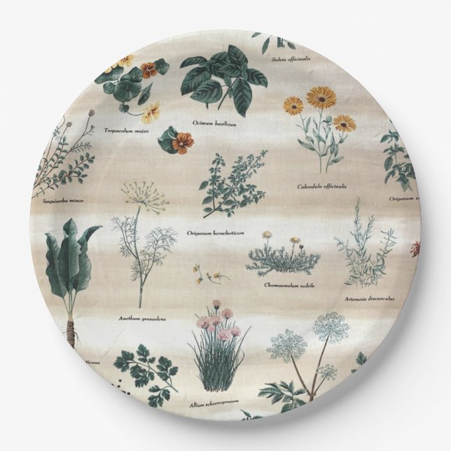Herbs Plants Flowers Paper Plates (Front)