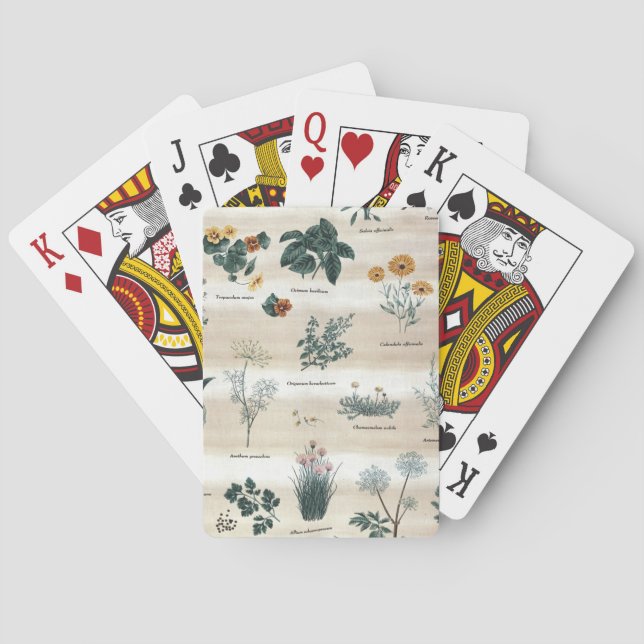 Herbs Plants Flowers Poker Cards (Back)