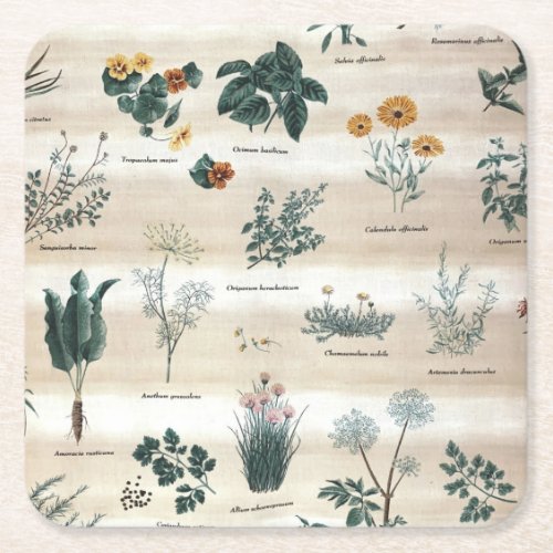 Herbs Plants Flowers Square Paper Coaster