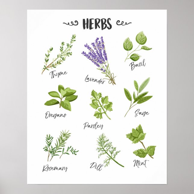 Herbs print Herbs art Kitchen art Kitchen decor (Front)