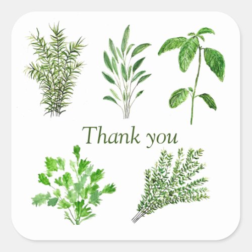 Herbs Rosemary Sage Thyme Mint Parsley Thank You Square Sticker