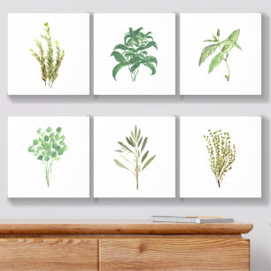 Herbs Rosemary Thyme Basil Sage Parsley Dill Acrylic Photo Tile
