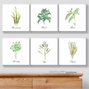 Herbs Rosemary Thyme Basil Sage Parsley Dill Acrylic Photo Tile