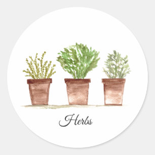 Herbs sage, rosemary, thyme greenery Rustic Plants Classic Round Sticker