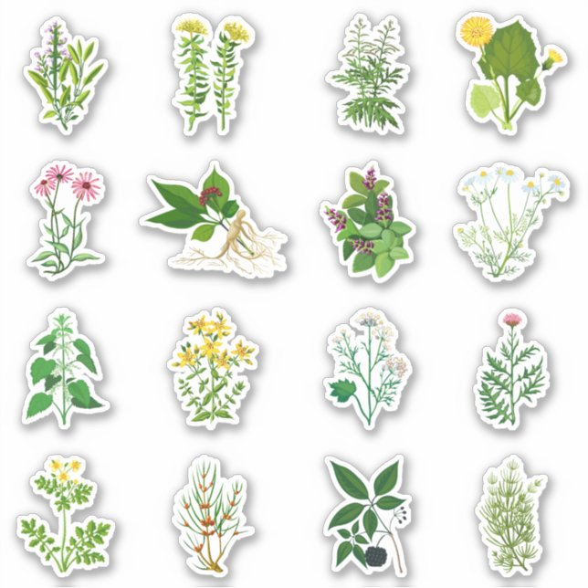 Herbs set sticker (Front)