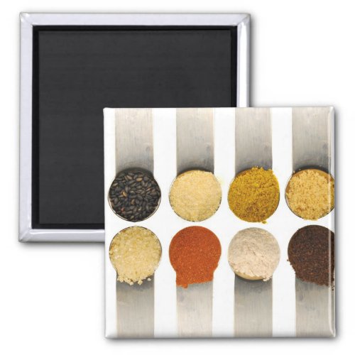 Herbs Spices  Powdered Ingredients Magnet