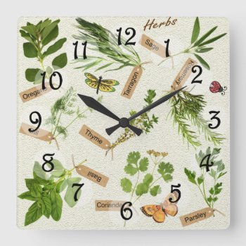 Herbs Square Wall Clock by KRStuff at Zazzle