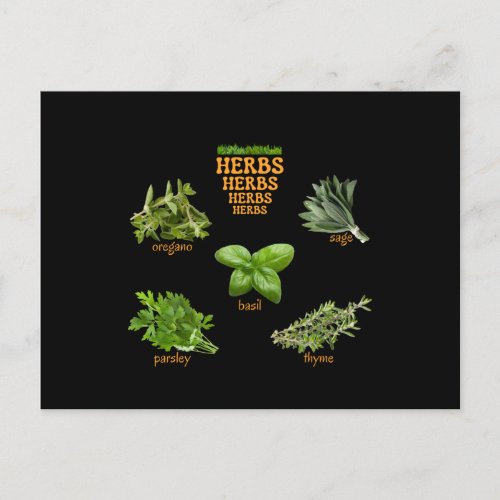 Herbs Stickers Oregano Basil Thyme Postcard