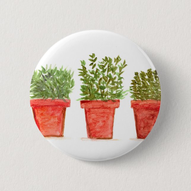 Herbs thyme rosemary mint button (Front)