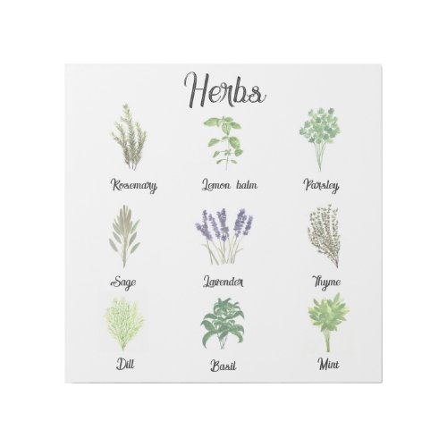 Herbs Watercolor Sage Thyme Rosemary Kitchen  Gallery Wrap