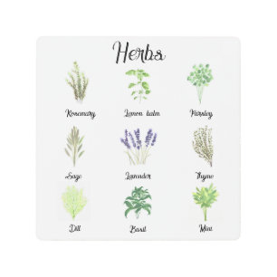 Herbs Watercolor Sage Thyme Rosemary Kitchen Metal Print
