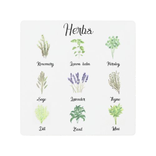 Herbs Watercolor Sage Thyme Rosemary Kitchen  Metal Print