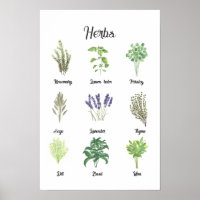 Herbs Watercolor Sage Thyme Rosemary Kitchen
