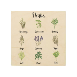 Herbs Watercolor Sage Thyme Rosemary Kitchen Wood Wall Art