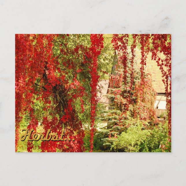 Herbst / Autumn Postcard (Front)