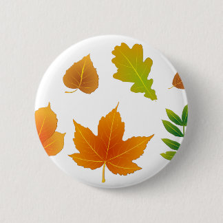 Herbstlaub Pinback Button