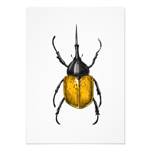 Hercules beetle photo print