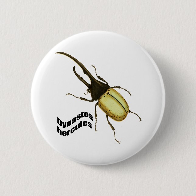 Hercules Beetle Pinback Button (Front)