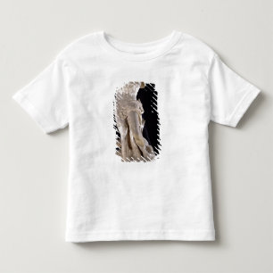 Hercules Fighting the Lernaean Hydra Toddler T-shirt