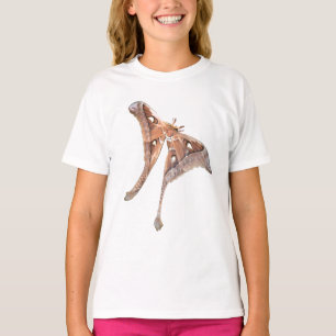 hercules moth T-Shirt