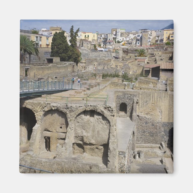 Herculium, Ercolano, Campania, Italy Magnet (Front)