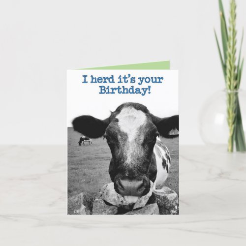 Herd it was your birthday _ Cheeky Cow  Card