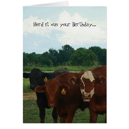 Herd it was Your Birthday Cow Card | Zazzle