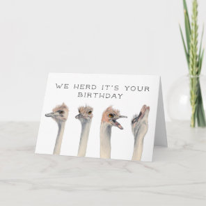 Herd Its Your Birthday | Ostrich Birds Card