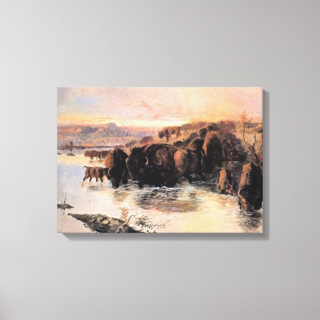 Herd of American Buffalo Canvas Print (Front)