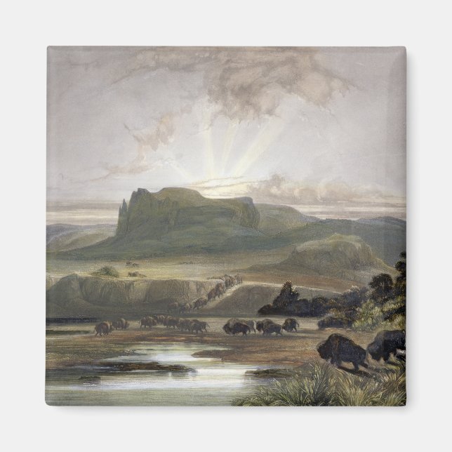 Herd of Bison on the Upper Missouri, plate 40 from Magnet (Front)