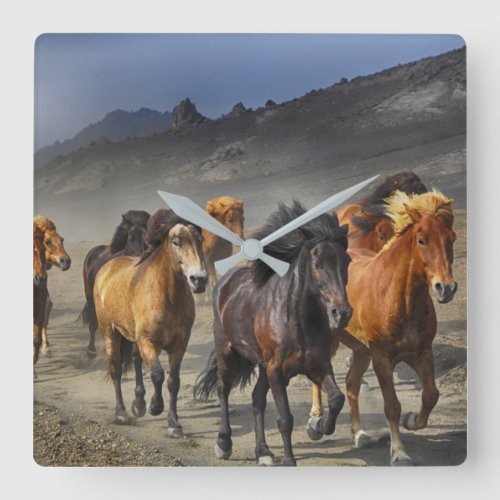 Herd of Brown Black Horses in Desert Wall Clock