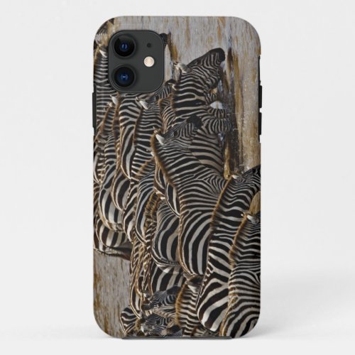 Herd of Burchells Zebras drinking from Mara iPhone 11 Case